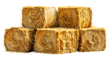 Stacked, golden-brown hay bales, square-shaped, sit against a transparent backdrop