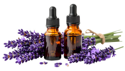 Two amber dropper bottles beside bundles of fresh purple lavender sprigs on a black background
