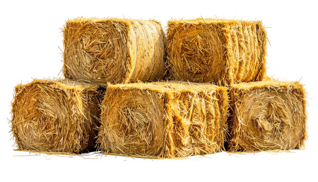Stacked, golden-brown hay bales, square-shaped, sit against a transparent backdrop