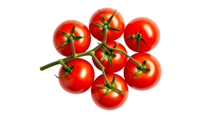 Close-up of seven ripe, red tomatoes on a green vine, isolated against black