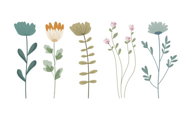 Some stylized flowers and plants on a white background.