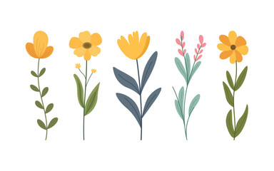 Five stylized wildflowers isolated on white.