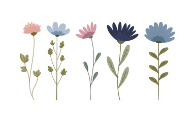 Five stylized flowers with stems and varied leaf arrangements.