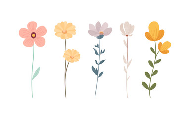 There are five simple floral designs in pink yellow purple and brown.