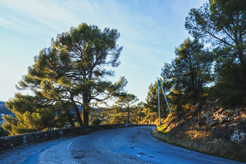 paysage de Provence , route départementale , lumière de fin de journée , arbres , pins , 