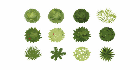 An aerial view of diverse green trees and plants top down perspective © Tasnim