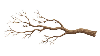 Long, detailed bare tree branch extending horizontally with numerous small twigs, ideal for representing dormancy or natural elements.