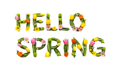 Hello Spring floral text with colorful flowers and green leaves on white background