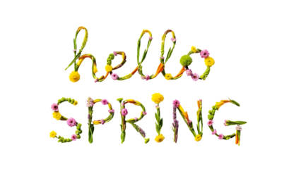 Hello Spring Floral Typography, Fresh Flowers and Greenery Letters