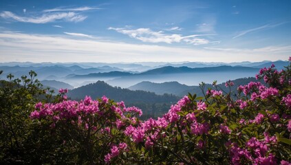 Breathtaking Mountain Landscape with Vibrant Pink Rhododendron Flowers under Soft Natural Lighting