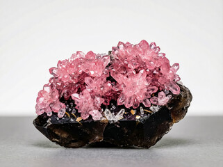 Druse of rare rose quartz crystals featuring distinct prismatic terminations on a massive quartz base.