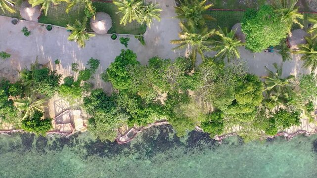 Top-down aerial view of tropical shoreline and vegetation