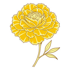 carnation yellow  line art on white background