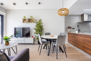 Stylish open living and dining area with kitchen and minimalist natural interior decor