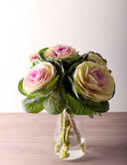 Ornamental cabbage flowers in vase