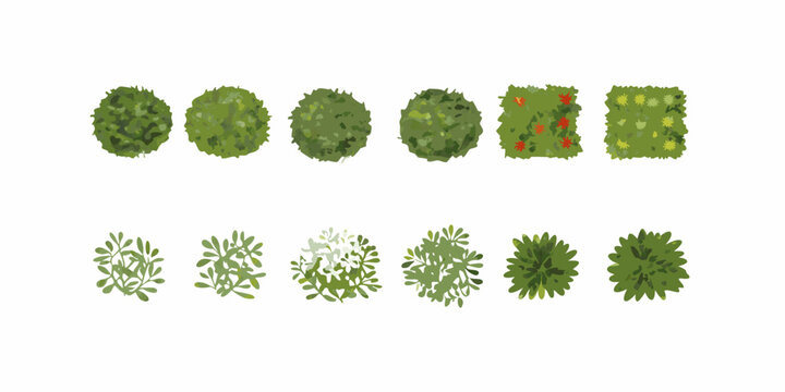A collection of stylized top down views of various trees and shrubs