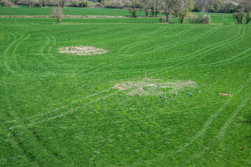 Lush green pastureland with curving mowing lines and scattered patches of dry grass next to river Towy in a small town Llandeilo in Carmarthenshire, Wales