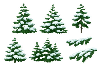 Fototapeta premium Snow-covered fir trees and branches set for winter forest scene, isolated elements with transparent background