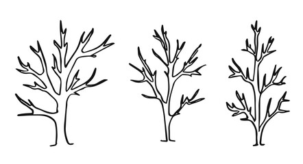 Obraz premium trees with dry branches linear silhouette