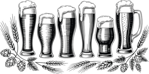 Beer Glass Collection Illustration, Craft Brewery Alcohol Drink Line Art.
