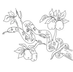 Cute cartoohand drawn vector biblical serpent snake on apple tree  outline.	
