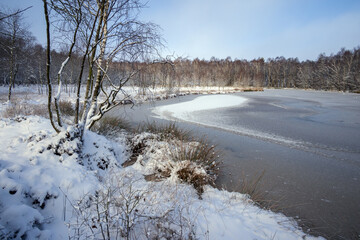 Morsee am Kaltenhofer Moor im Winter.
