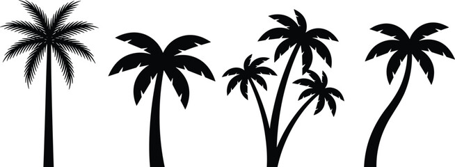 Black palm tree silhouettes isolated on white background, tropical summer vector collection for logos, prints, decor, branding, and graphic design © Moksedul Creative