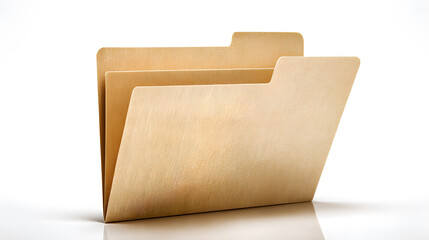 File folders organizing business documents and office paperwork