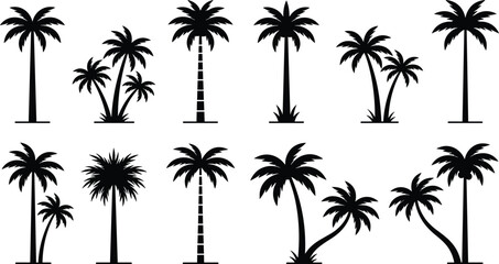 Set of black palm tree silhouettes isolated on white background, tropical summer nature collection for beach, island, and travel vector design © Moksedul Creative