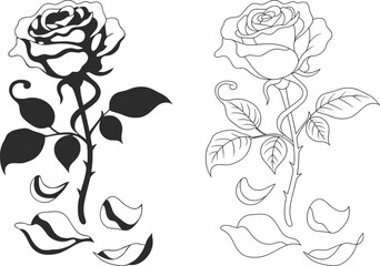 Rose Flower Line Art and Silhouette Botanical Vector Illustration.