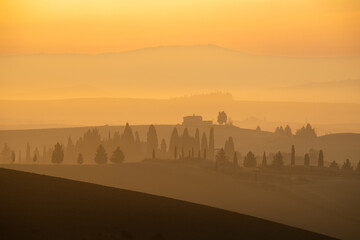 Obraz premium A golden sunrise over the rolling hills of Val d'Orcia near Pienza, featuring a distant farmhouse and cypress trees silhouetted against a thick layer of morning mist