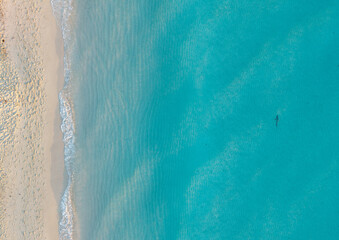 Shark swimming in shallow water in Miami Beach by drone © Jason