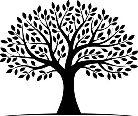 Silhouette of a large deciduous tree with spreading branches and numerous oval leaves against a white