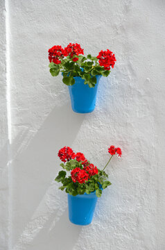 Macetas azules con geranios rojos en las paredes del pueblo blanco de Vejer de la Frontera, provincia de C&aacute;diz, Andaluc&iacute;a, Espa&ntilde;a.
