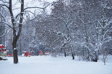 Winter snowy landscape with snowdrifts and snow-covered trees in the forest.