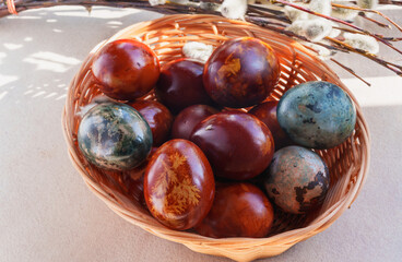 Naturally dyed Easter eggs in a wicker basket with pussy willow branches