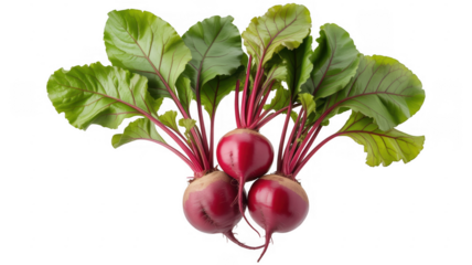 Three red beets with green leaves isolated on a transparent background