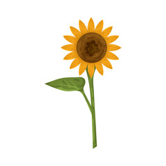 Fototapeta premium Illustration of Sunflower with Stem and Leaf