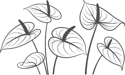 Seven anthurium leaves with stems in black and line