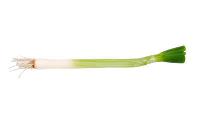 Green and white object with a wooden handle and a green blade on a white background in a horizontal studio shot on white and transparent