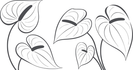 Six black and heart shaped tropical leaves in outline style editable leaf