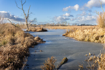 winter landscape with river