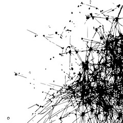 Abstract black and white explosion of interconnected lines and splatters creating a dynamic and chaotic network, radiating outwards from an unseen central point on a stark white background