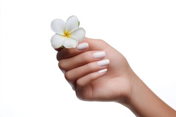 Delicate female hand holding white flower on clean background