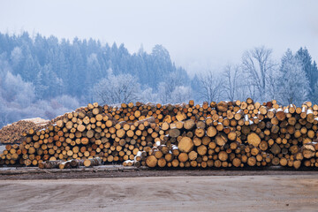 Timber storage of a sawmill in winter - stacked logs

