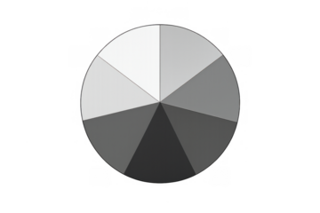 Grayscale pie chart presenting data analysis and business information on a transparent background