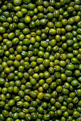 Green Mung Beans Texture Background in Natural Pattern