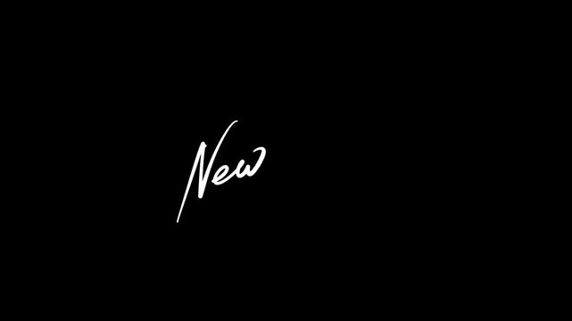 New York city lettering animation in handwritten signature style with flowing cursive strokes and refined script writing effect
