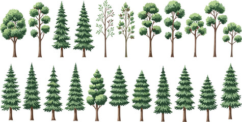 Tree collection, deciduous and coniferous types, foliage styles, botanical clipart, forest vector, nature illustration, landscape elements, greenery © MdNurunnabi