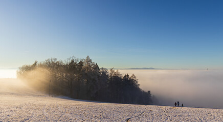 Inversion fog under small ski slope with trees during sunny day. Sport, touristic Czech landscape